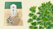 【行業(yè)資訊】國內(nèi)首部艾草專著《南陽艾》，在南陽新書首發(fā)！