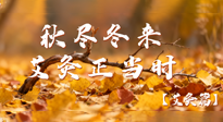 【健康/艾灸】秋盡冬來，艾灸正當(dāng)時(shí)——解鎖季節(jié)交替的養(yǎng)生密碼！